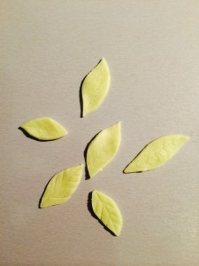 feuilles en pâte d'amande