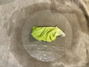 rouleau de printemps