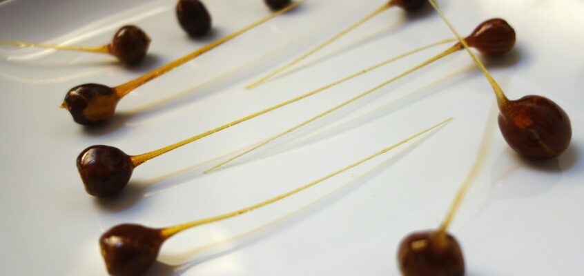 Noisettes caramélisées